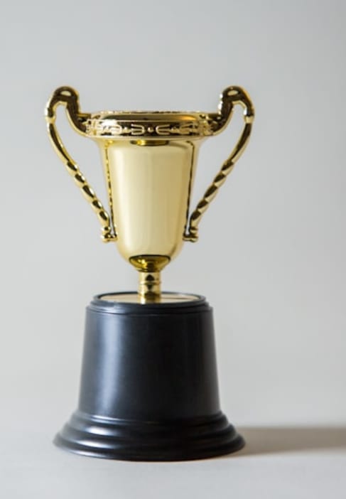 Trophy representing employee recognition