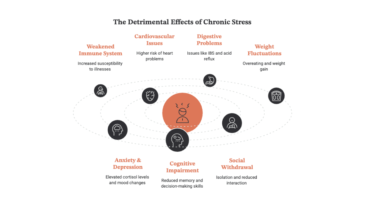 Infographic showing the seven detrimental effects of chronic stress on employees, from weakened immunity and cardiovascular strain to anxiety, cognitive impairment, and social withdrawal