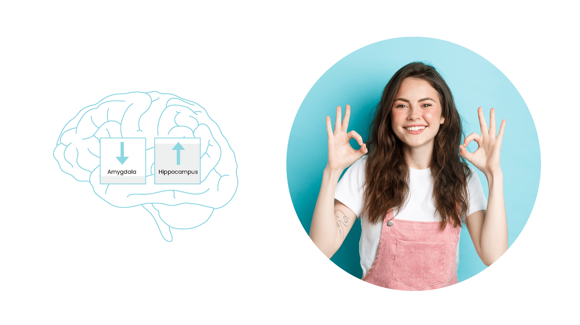Practicing Mindfulness results in Increased Gray Matter in Hippocampus and Decreased Gray Matter in Amygdala