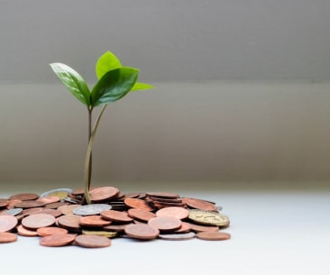 Wellness Stipend Policy Template