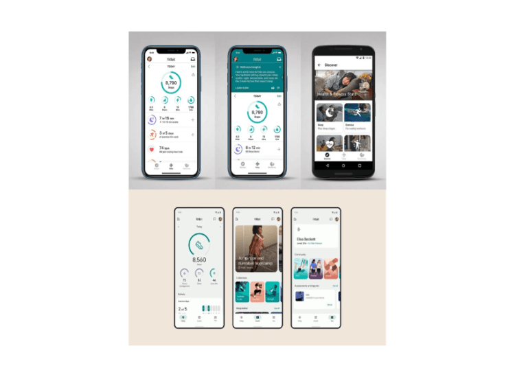 Fitbit step tracker app interface
