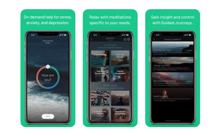 Sanvello app interface