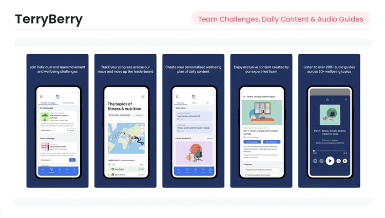 Terryberry wellness and recognition platform interface