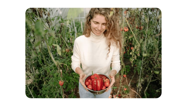 Grow Your Vegetables