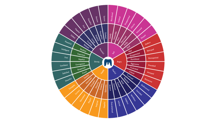 The Feeling Wheel Wellness Game