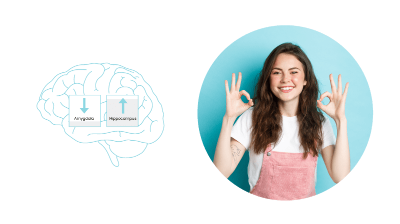 Practicing Mindfulness results in Increased Gray Matter in Hippocampus and Decreased Gray Matter in Amygdala