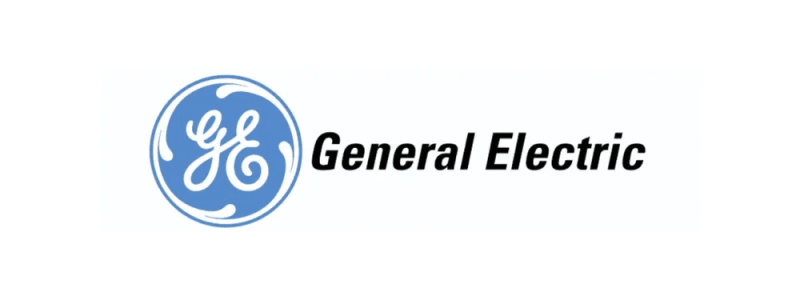 General Electric (GE) corporate wellness program