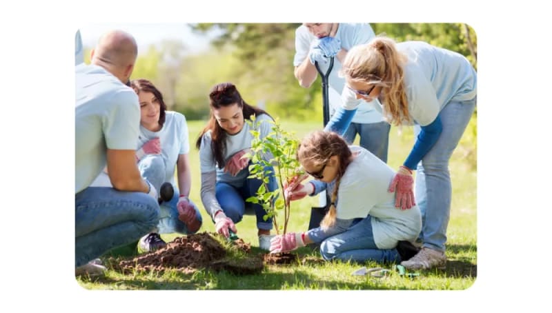 Social and Environmental Wellness