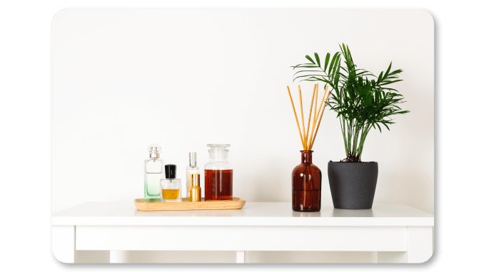 Aromatherapydesk plant