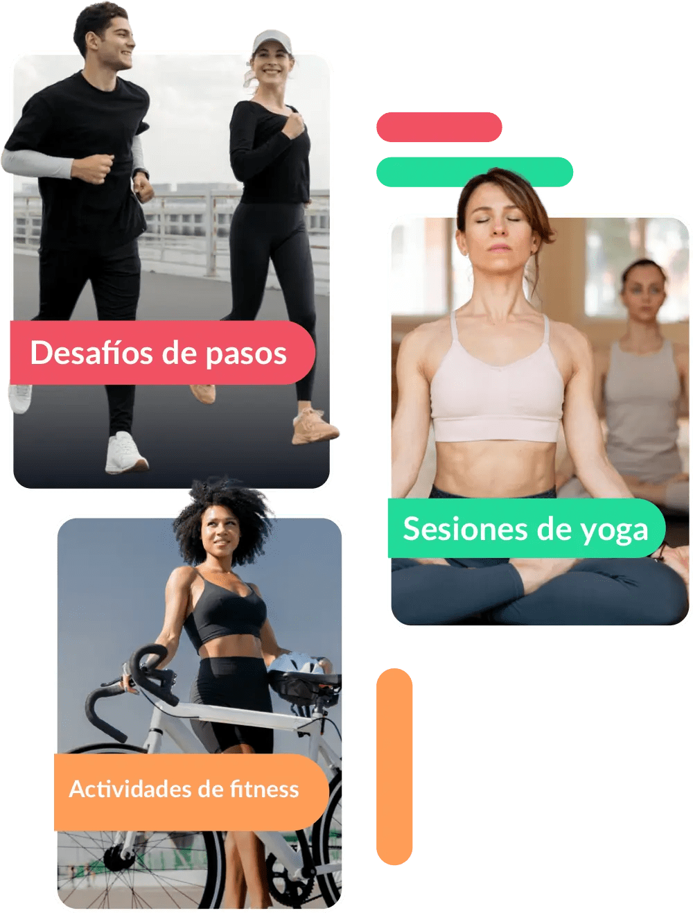 Actividades Diversas
