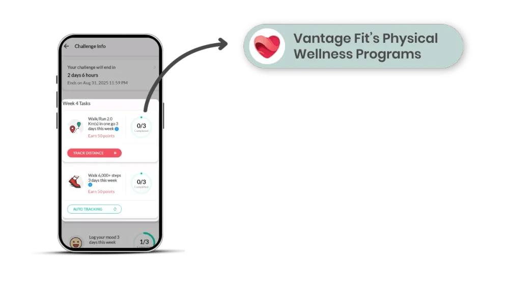 physicall wellness initiative of vantage fit.webp