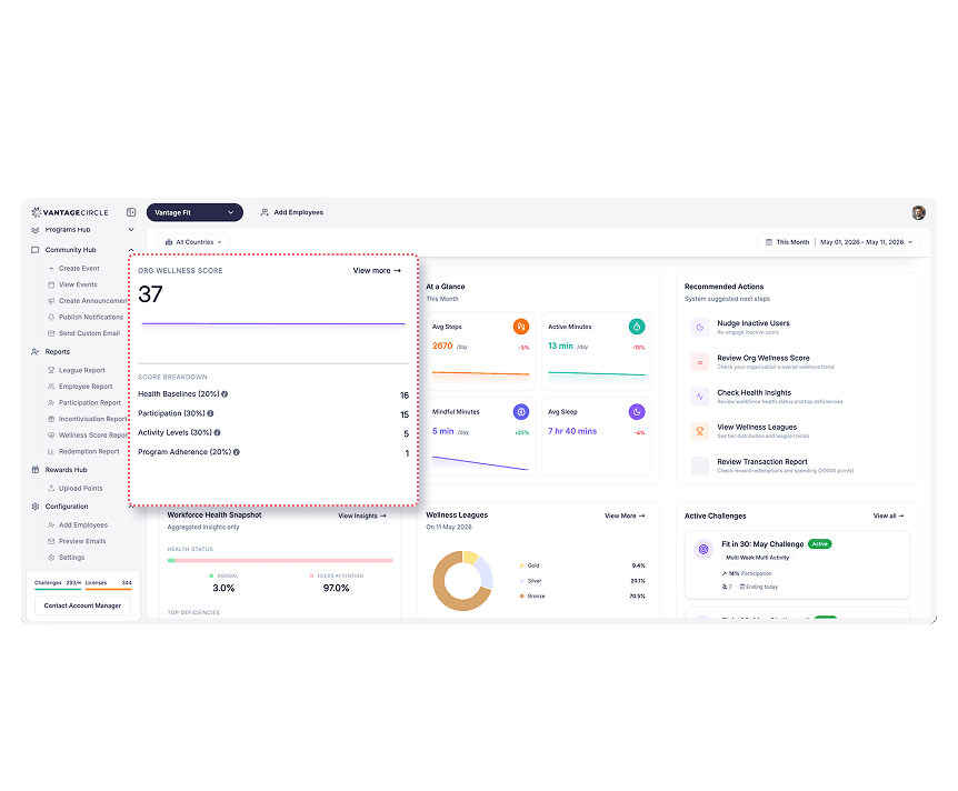 Org Wellness Score