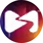 Logo A Step Ahead