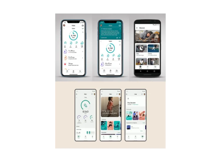 Interface Fitbit