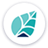 Cooleaf logo