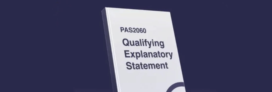 Qualifying Explanatory Statement 2023